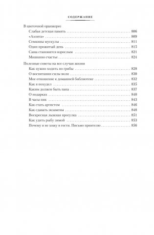 Большой Пожар фото книги 3