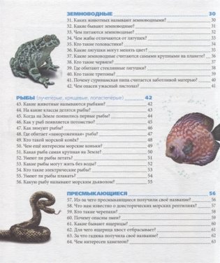 Животный мир фото книги 7