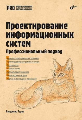 Проектирование информационных систем. Профессиональный подход фото книги