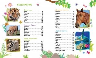 Животные. Энциклопедия для малышей фото книги 2