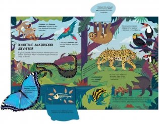 Животные. Энциклопедия с окошками фото книги 6