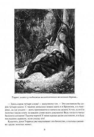 Жангада, или 800 лье по Амазонке фото книги 4