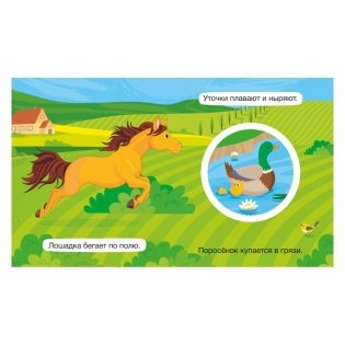 Крутые крутилки "Мои любимцы" фото книги 3