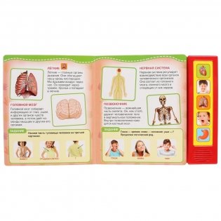 Тело человека фото книги 4