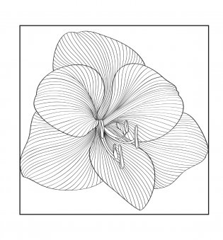 Полет бабочки. Рисунки для медитаций фото книги 5