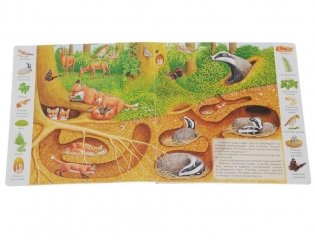 Где обитают животные фото книги 3