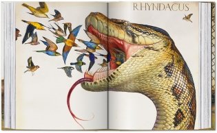 Walton Ford. 40th Ed. фото книги 7