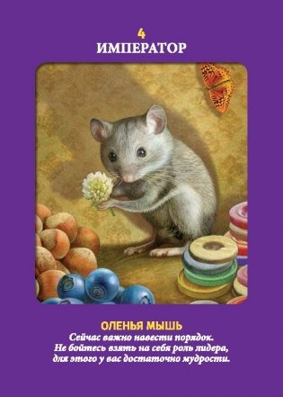 Таро животных. Инструкция + 78 карт фото книги 10