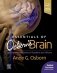 Essentials of osborn`s brain фото книги маленькое 2