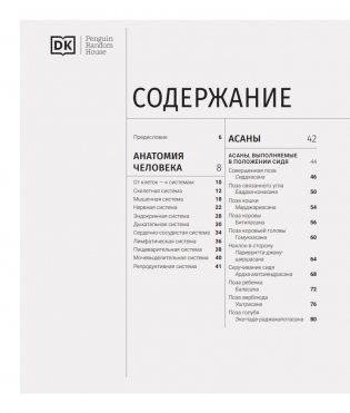 Анатомия и физиология йоги: совершенствование практики ключевых асан фото книги 2