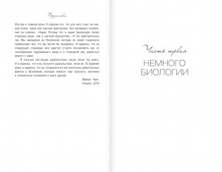 Странные вопросы о Вселенной, или Как сделать Солнце из бананового пюре фото книги 4