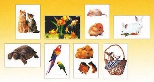 Мир в картинках. Животные домашние питомцы. 3-7 лет. Наглядно-дидактическое пособие. ФГОС фото книги 2