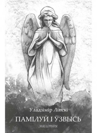 Памілуй і ўзвысь фото книги