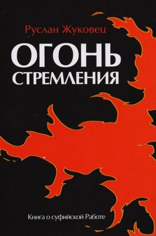 Огонь стремления. Книга о суфийской Работе фото книги