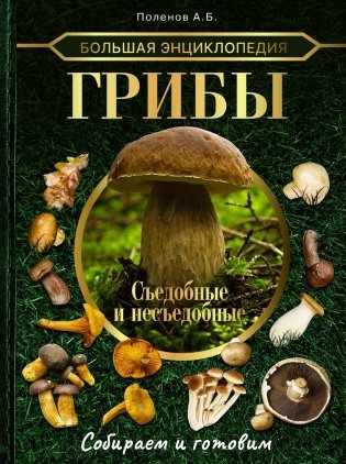 Большая энциклопедия. Грибы. Съедобные и несъедобные. Собираем и готовим. фото книги