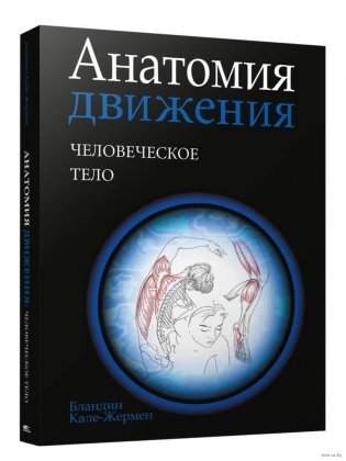 Анатомия движения: человеческое тело фото книги