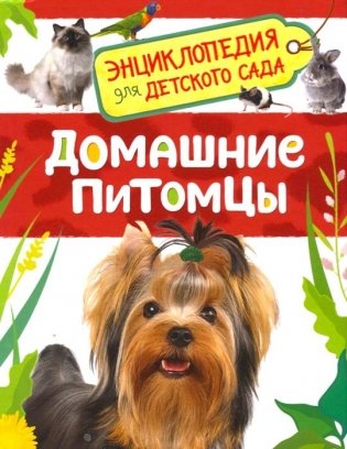 Домашние питомцы. Энциклопедия для детского сада фото книги