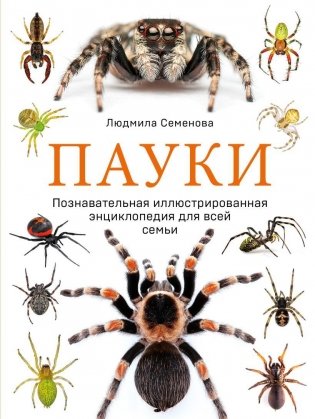 Пауки. Познавательная иллюстрированная энциклопедия для всей семьи фото книги