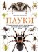 Пауки. Познавательная иллюстрированная энциклопедия для всей семьи фото книги маленькое 2
