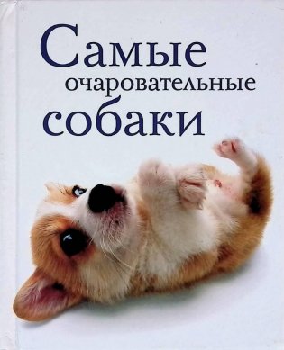 Самые очаровательные собаки фото книги