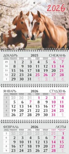 Квартальный календарь 2026 г. фото книги