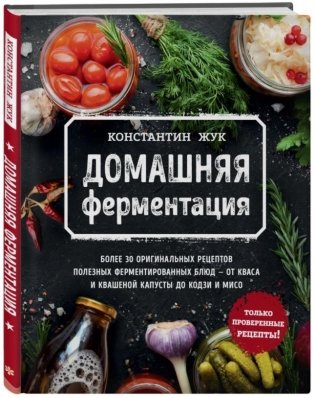 Домашняя ферментация фото книги