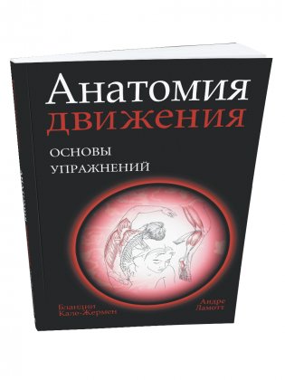 Анатомия движения. Основы упражнений фото книги