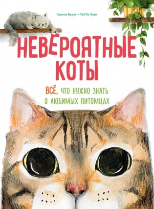 Невероятные коты. Всё, что нужно знать о любимых питомцах фото книги