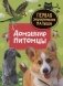 Домашние питомцы. Первая энциклопедия малыша фото книги маленькое 2