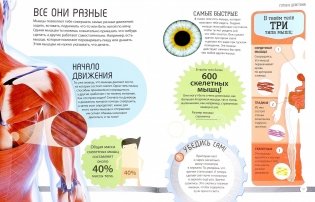 Энциклопедия для маленьких почемучек. Тело человека фото книги 2