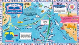 Куда идут пингвины. Маршруты миграции животных фото книги 4