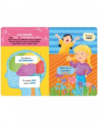 Книжка с окошками. Как устроено тело человека. И другие интересные вопросы фото книги 4