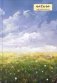 Natura. Посмотри наверх. Ежедневник недатированный (А5, 72 л.) фото книги маленькое 2