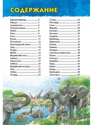 Животные мира. Первая энциклопедия дошкольника фото книги 2