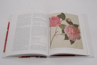RHS John Reeves: Pioneering Collector of Chinese Plants and Botanical Art фото книги 4