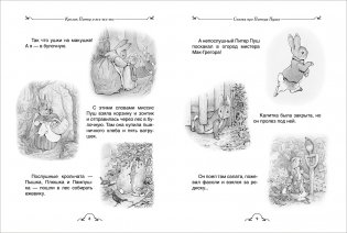 Кролик Питер и все-все-все фото книги 2