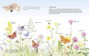 Экспедиция Софи фото книги 4