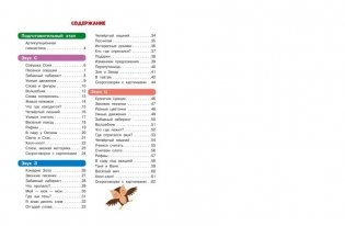 Закрепляем произношение звуков С, З, Ц фото книги 8