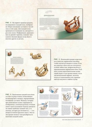 Анатомия прогибаний и скручиваний фото книги 5