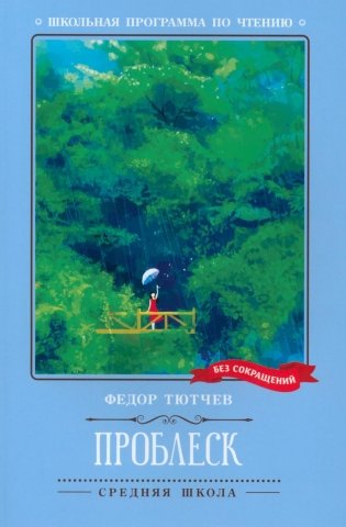 Проблеск. Стихотворения фото книги
