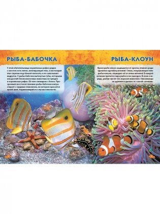 Подводный мир. Первая энциклопедия дошкольника фото книги 2