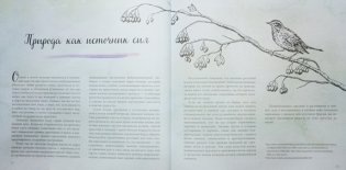 Коротаем зиму. Уютное руководство, как провести холодное время года фото книги 3