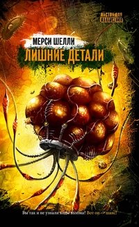 Лишние детали фото книги