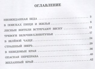 Белочка-хлопотунья фото книги 6