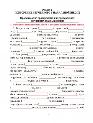 Русский язык. Тренажёр по орфографии и пунктуации. 5 класс фото книги 4