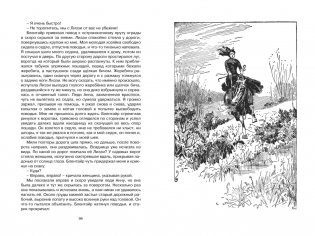 Чёрный Красавчик фото книги 2