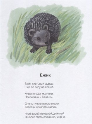 На лесной тропинке фото книги 2