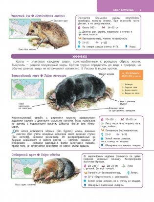 Большой определитель птиц, зверей, насекомых и растений России фото книги 6