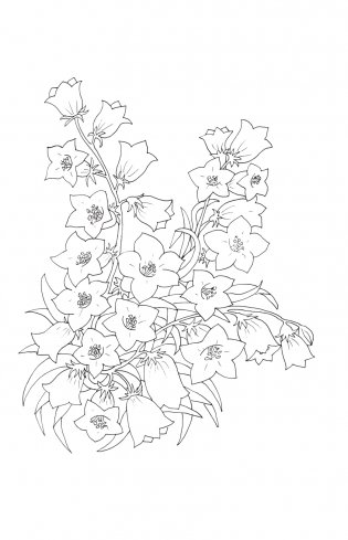 Зачарованный сад. Мини-раскраска-антистресс для творчества и вдохновения (обновленное издание) фото книги 19