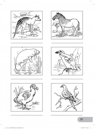 Окружающий мир. Изучаем природу родного края. 2 класс. Тетрадь для внеурочной деятельности. ФГОС фото книги 4